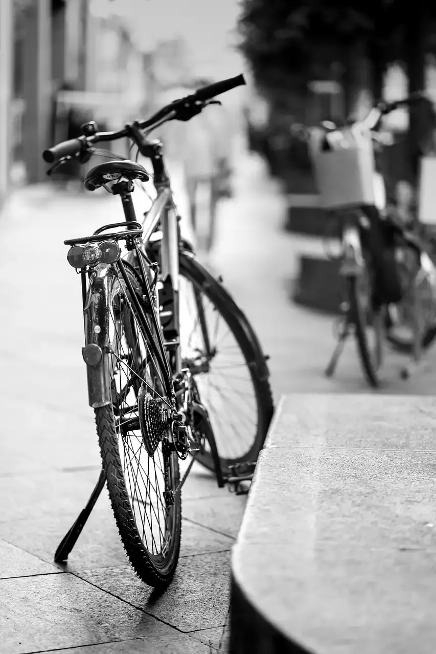 היתרונות של נסיעת אופניים: חסכו כסף, התאימו וצאו לירוק